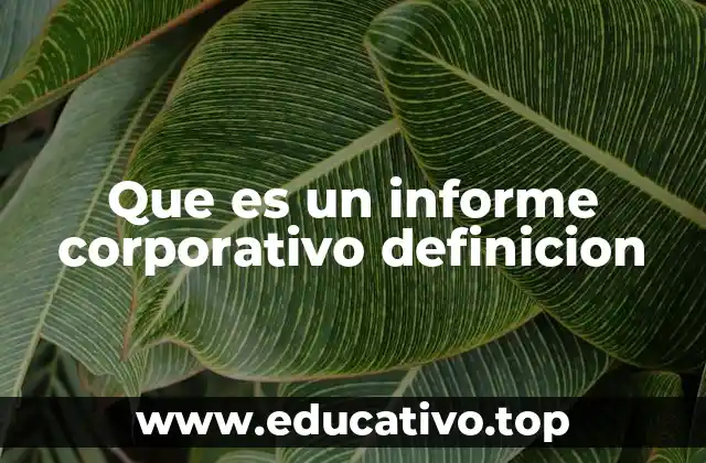 Que es un informe corporativo definicion