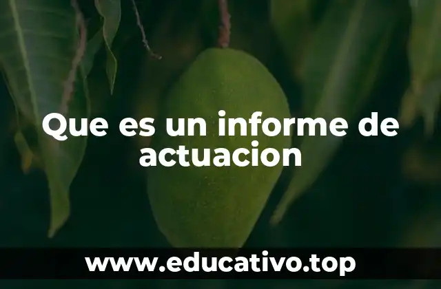 Que es un informe de actuacion
