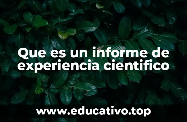 Que es un informe de experiencia cientifico