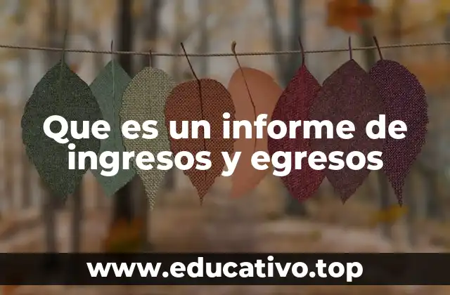 Que es un informe de ingresos y egresos