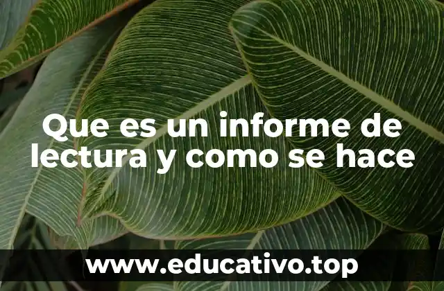 Que es un informe de lectura y como se hace