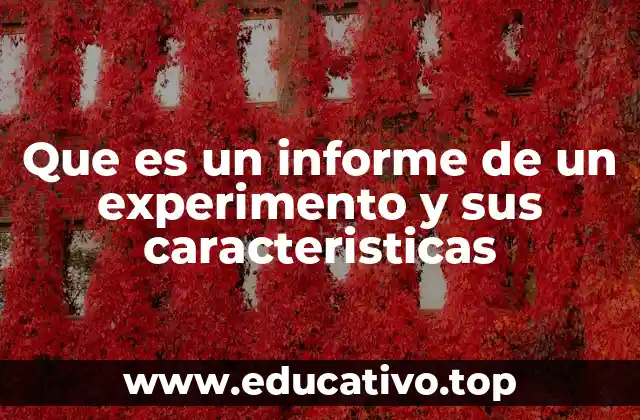 Que es un informe de un experimento y sus caracteristicas
