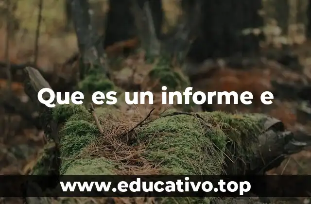 Que es un informe e