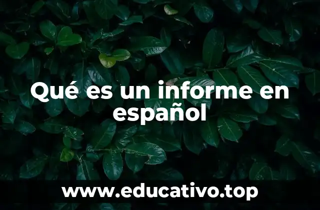 Qué es un informe en español