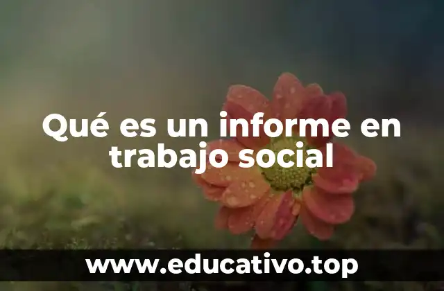 Qué es un informe en trabajo social