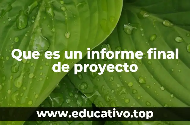 Que es un informe final de proyecto