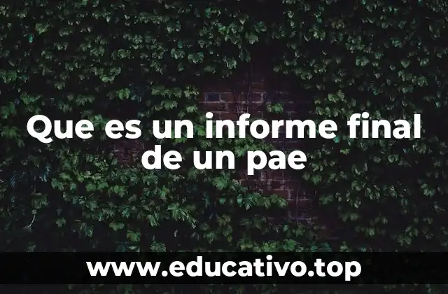 Que es un informe final de un pae