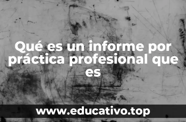 Qué es un informe por práctica profesional que es