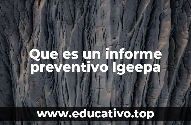 Que es un informe preventivo lgeepa