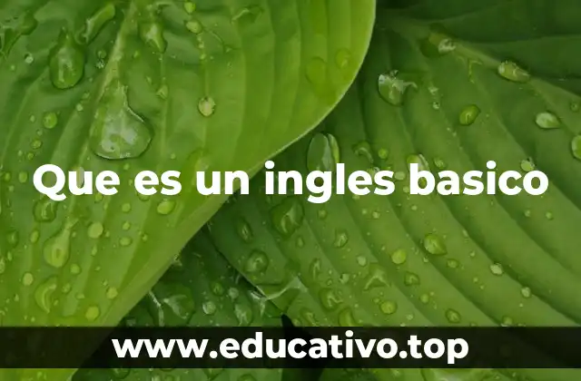 Que es un ingles basico