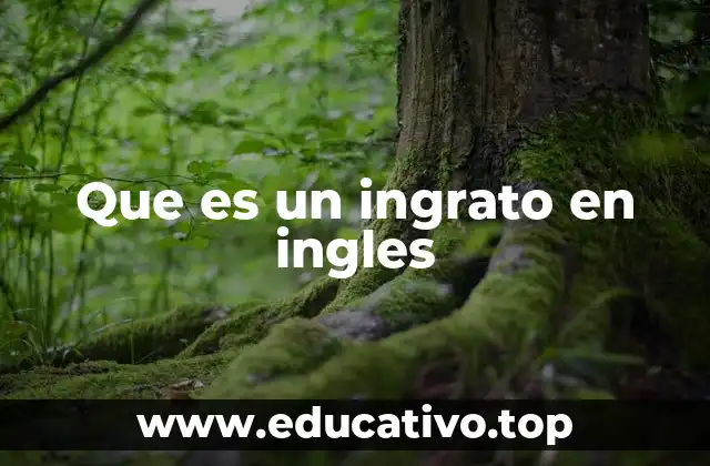 Que es un ingrato en ingles
