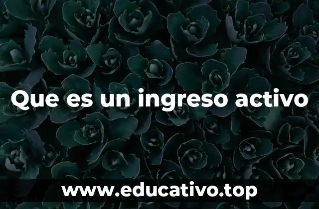 Que es un ingreso activo