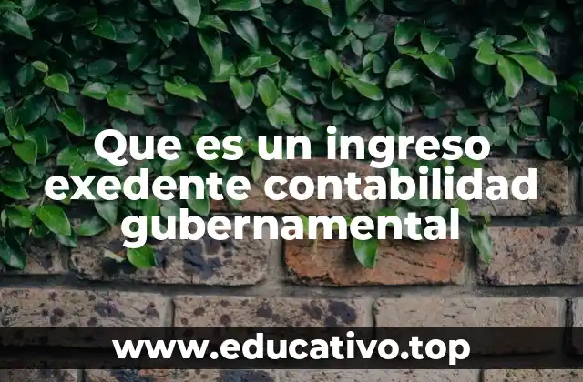 Que es un ingreso exedente contabilidad gubernamental