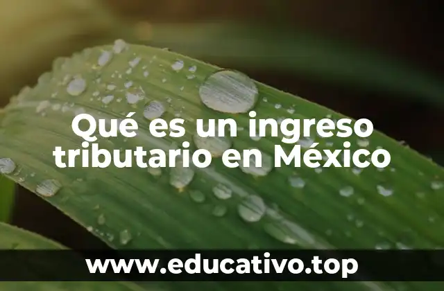 Qué es un ingreso tributario en México