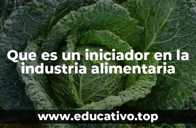 Que es un iniciador en la industria alimentaria