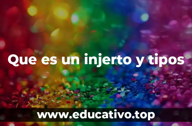 Que es un injerto y tipos