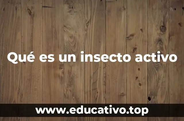 Qué es un insecto activo
