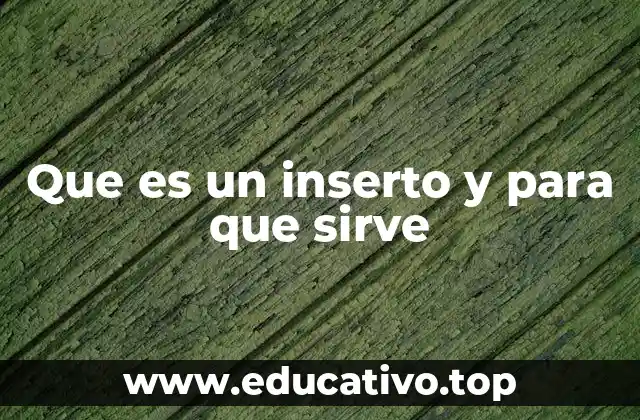 Que es un inserto y para que sirve
