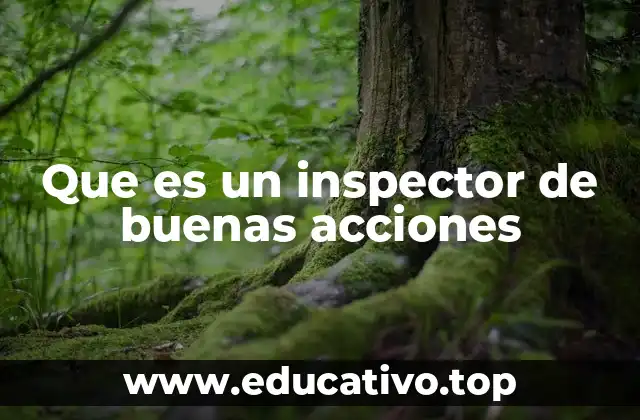 Que es un inspector de buenas acciones