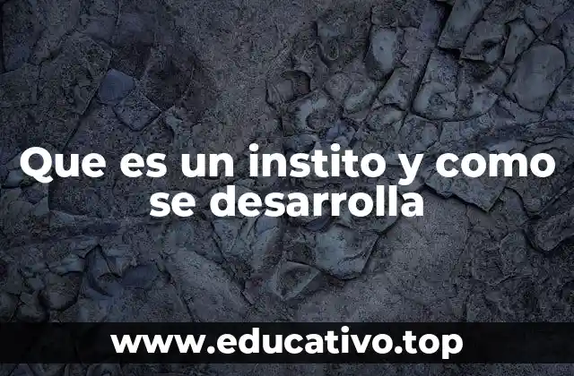 Que es un instito y como se desarrolla
