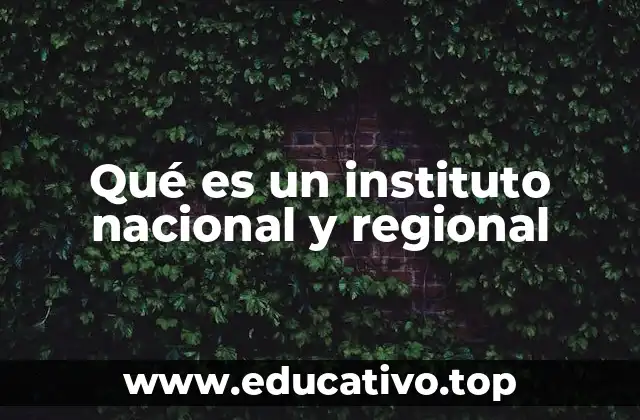 Qué es un instituto nacional y regional