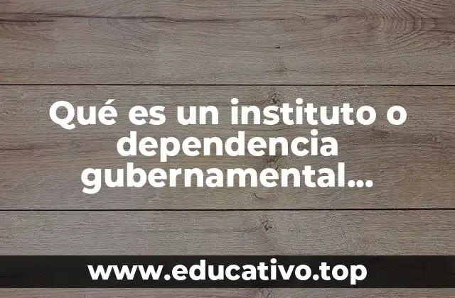 Qué es un instituto o dependencia gubernamental ejemplos
