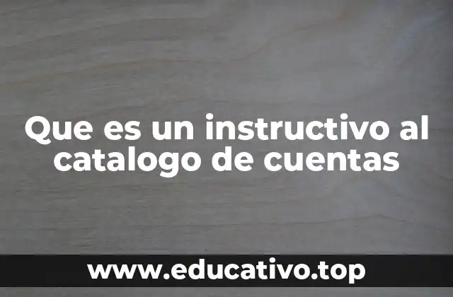 Que es un instructivo al catalogo de cuentas