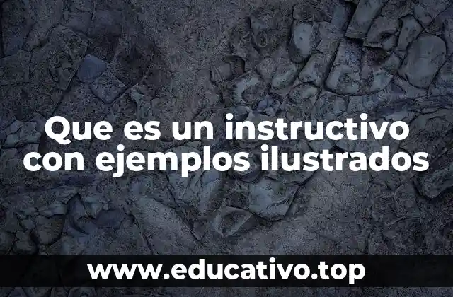 Que es un instructivo con ejemplos ilustrados