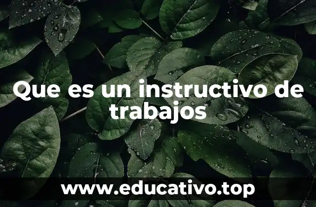 Que es un instructivo de trabajos
