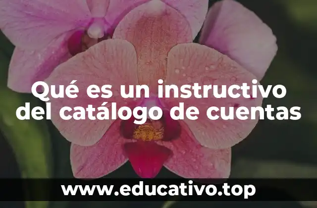 Qué es un instructivo del catálogo de cuentas