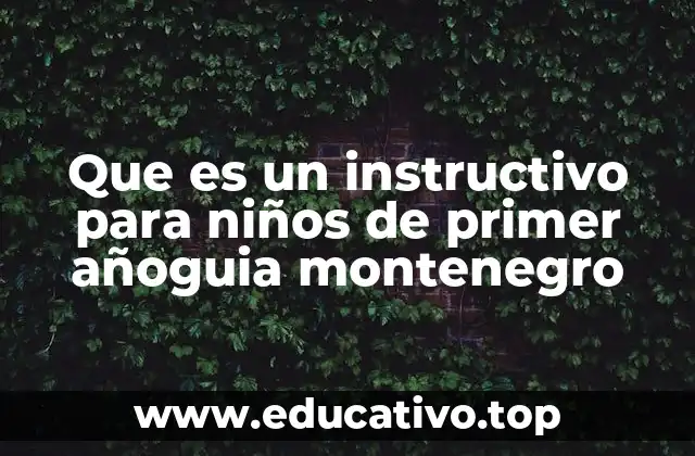 Que es un instructivo para niños de primer añoguia montenegro