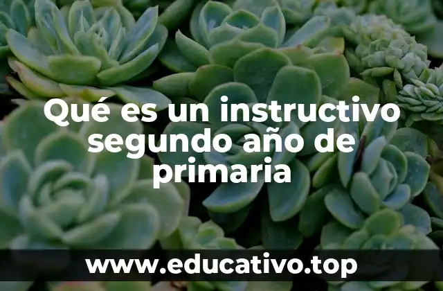 Qué es un instructivo segundo año de primaria