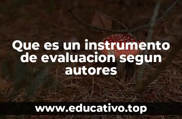 Que es un instrumento de evaluacion segun autores