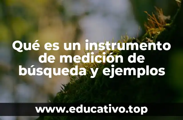 Qué es un instrumento de medición de búsqueda y ejemplos