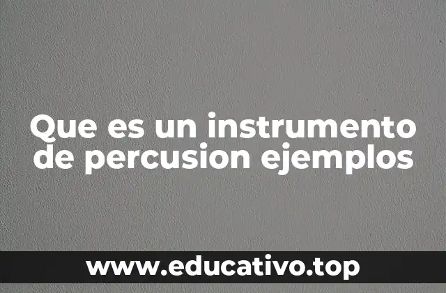 Que es un instrumento de percusion ejemplos