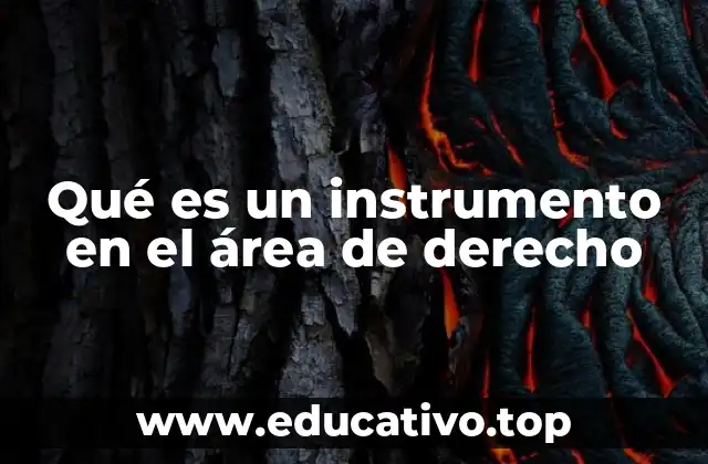 Qué es un instrumento en el área de derecho