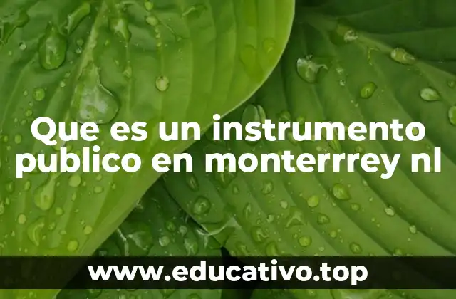 Que es un instrumento publico en monterrrey nl