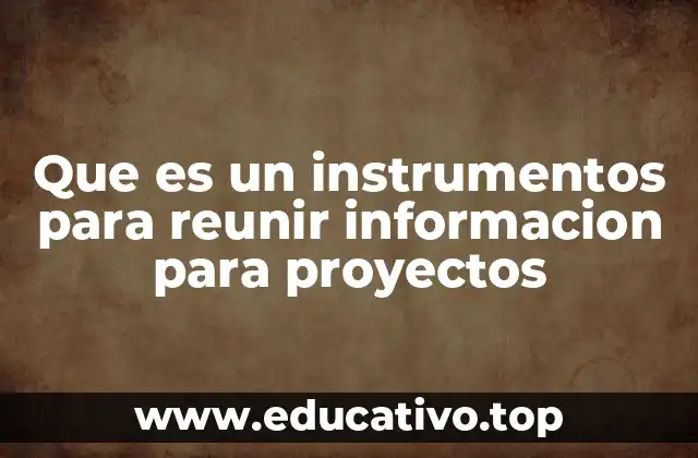 Que es un instrumentos para reunir informacion para proyectos