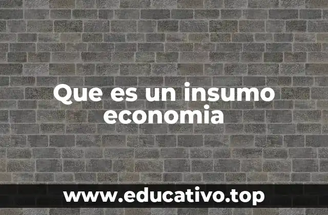 Que es un insumo economia