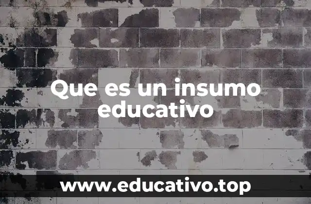 Que es un insumo educativo