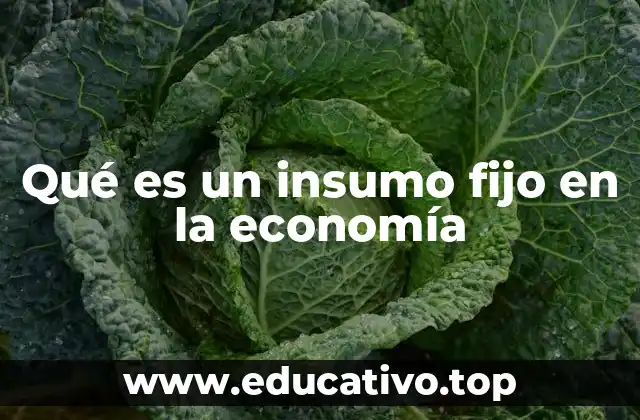 Qué es un insumo fijo en la economía