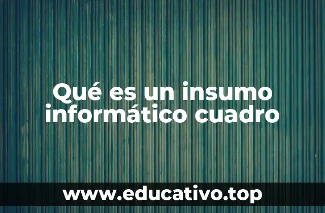 Qué es un insumo informático cuadro