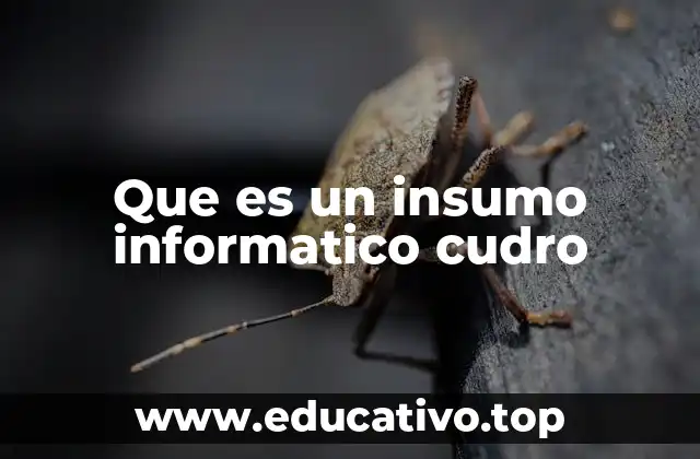 Que es un insumo informatico cudro