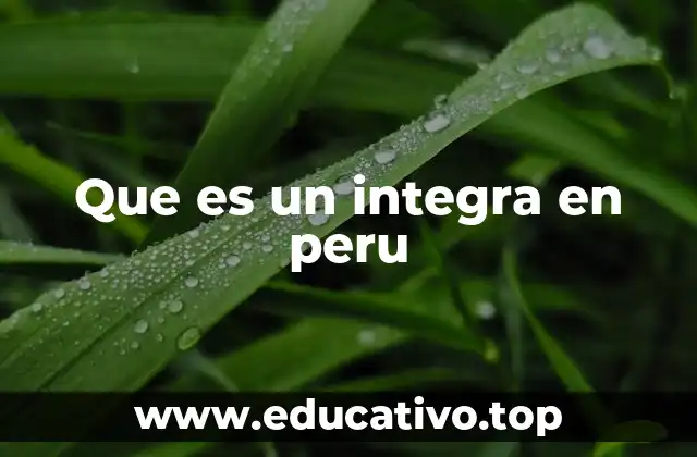 La formación académica de los integras en Perú