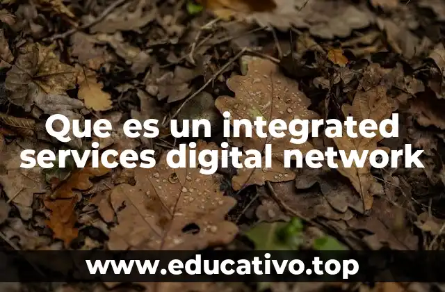 Que es un integrated services digital network