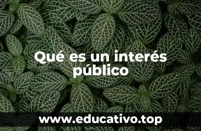 Qué es un interés público