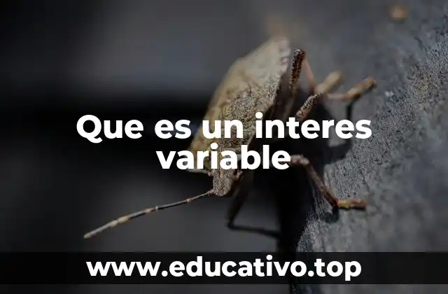 Que es un interes variable