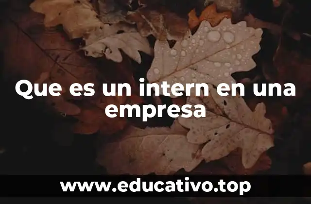 Que es un intern en una empresa
