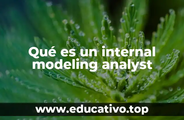 Qué es un internal modeling analyst