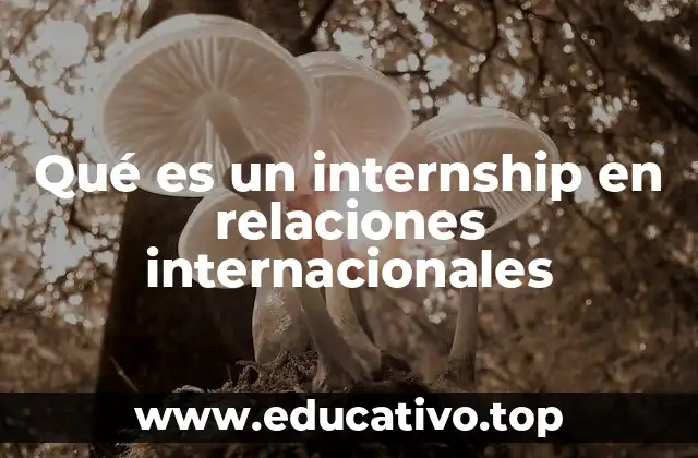 Qué es un internship en relaciones internacionales